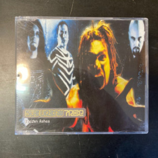 SubUrban Tribe - Frozen Ashes CDS (VG+/M-) -alt metal-