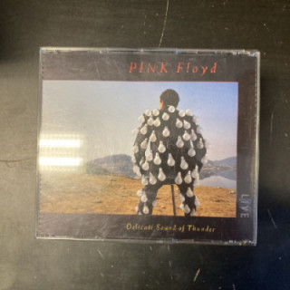 Pink Floyd - Delicate Sound Of Thunder 2CD (VG/VG+) -prog rock-