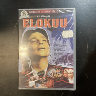 Elokuu (1956) DVD (avaamaton) -draama-