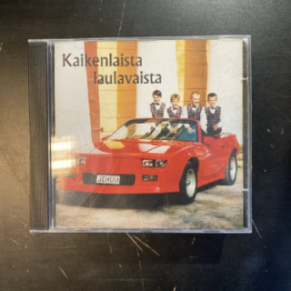 Jehuu Laruu - Kaikenlaista laulavaista CD (M-/M-) -lastenmusiikki-