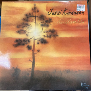 Jussi Kinnunen - Aurinkopaikka (FIN/1992) LP (VG+-M-/M-) -pop rock-