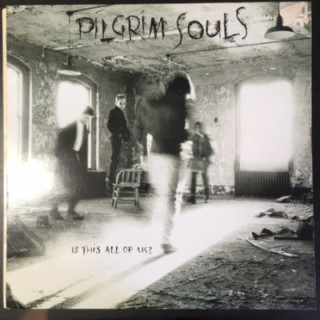 Pilgrim Souls - Is This All Of Us? LP (VG+-M-/VG+) -alt rock-