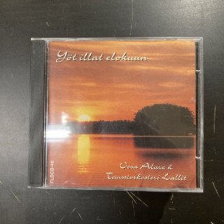 Vesa Alare & Lallit - Yöt illat elokuun CD (VG+/VG+) -iskelmä-