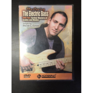 David C. Gross - Mastering The Electric Bass (DVD Two) DVD (VG/M-) -opetus dvd- (R1 NTSC/ei suomenkielistä tekstitystä)